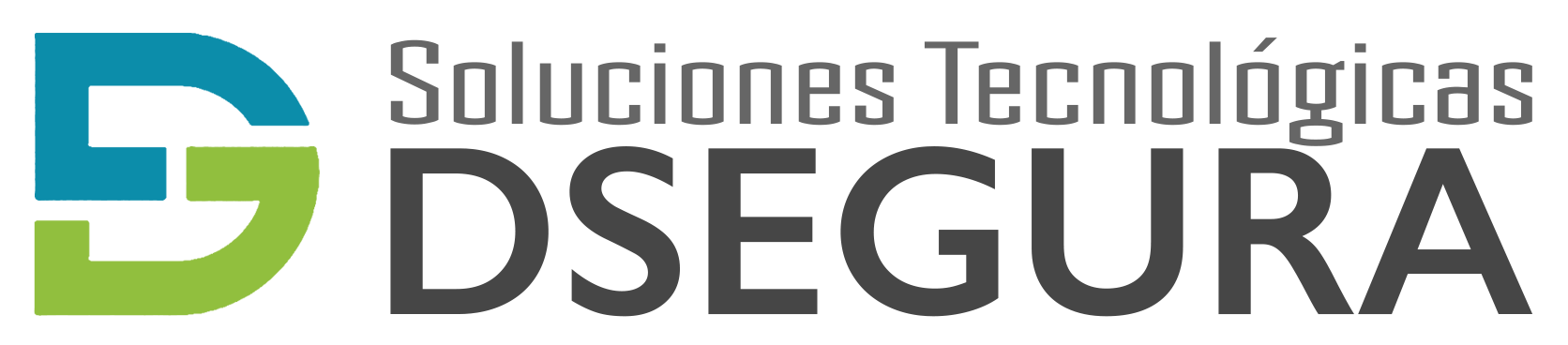 Dsegura srl